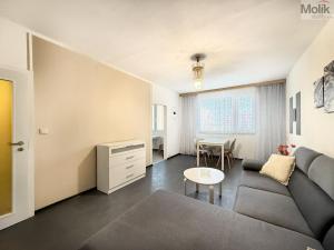 Pronájem bytu 2+1, Teplice - Trnovany, Antala Staška, 65 m2