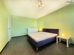 Pronájem bytu 2+1, Teplice - Trnovany, Antala Staška, 65 m2