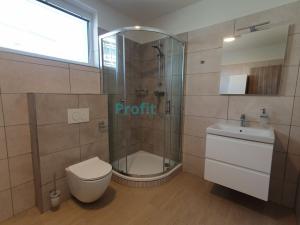 Pronájem bytu 1+kk, Zábřeh, Leštinská, 38 m2