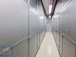 Pronájem bytu 3+kk, Praha - Vinohrady, Korunní, 95 m2