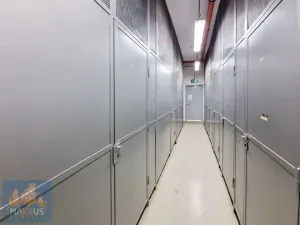 Pronájem bytu 3+kk, Praha - Vinohrady, Korunní, 95 m2