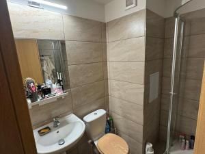 Pronájem bytu 1+1, Vsetín, Bratří Hlaviců, 32 m2