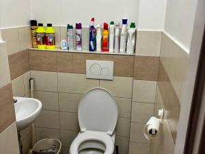 Pronájem bytu 3+kk, Praha - Žižkov, Hartigova, 70 m2