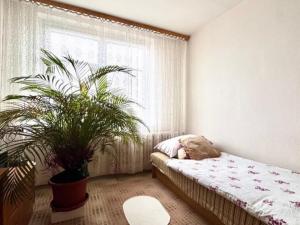 Prodej bytu 4+1, Most, K. H. Máchy, 86 m2