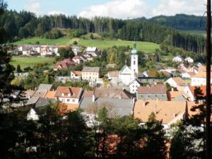 Prodej louky, Jimramov - Benátky, 11779 m2