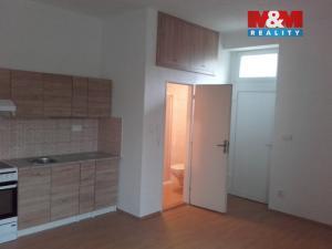 Pronájem bytu 1+kk, Horní Benešov - Luhy, 26 m2
