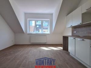 Pronájem bytu 2+kk, České Budějovice - České Budějovice 3, 45 m2