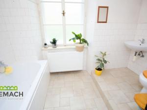 Pronájem bytu 2+kk, Kuks, 70 m2