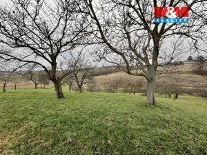 Prodej zahrady, Bezuchov, 901 m2