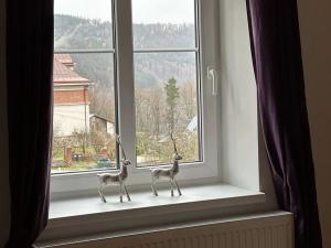 Pronájem bytu 4+1, Tanvald, U Stadionu, 78 m2