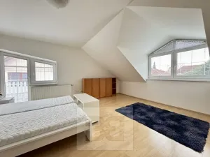 Pronájem rodinného domu, Česká, 200 m2