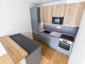 Prodej bytu 3+kk, Praha - Žižkov, Seifertova, 70 m2