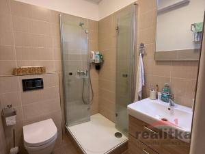 Pronájem bytu 1+kk, Opava, Pekařská, 24 m2