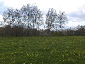 Prodej pozemku, Staré Město - Nová Véska, 10063 m2