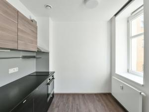 Pronájem bytu 1+kk, Praha - Vinohrady, Lucemburská, 30 m2