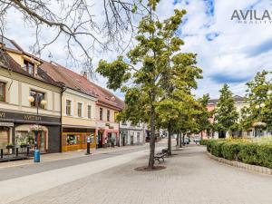 Prodej komerční nemovitosti, Benešov, Masarykovo náměstí, 256 m2