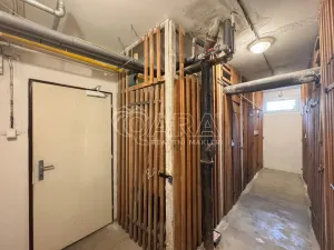 Pronájem pokoje, České Budějovice - České Budějovice 2, J. Opletala, 65 m2