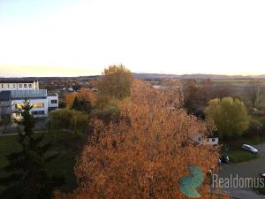 Pronájem bytu 1+1, Velešín, Sídliště, 42 m2