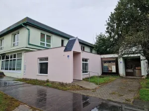 Pronájem obchodního prostoru, Hodonín, Cihlářská čtvrť, 61 m2