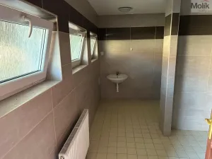 Pronájem skladu, Libčeves, U Rybníka, 250 m2