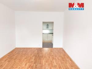 Pronájem bytu 1+1, Mělník, Pražská, 43 m2