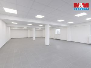 Pronájem kanceláře, Louny, Březinova, 210 m2
