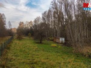 Prodej louky, Česká Lípa, 5589 m2