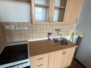 Prodej bytu 1+kk, Most, U Věžových domů, 22 m2