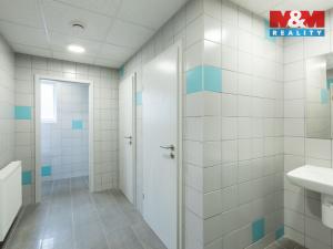 Pronájem obchodního prostoru, Louny, Březinova, 210 m2