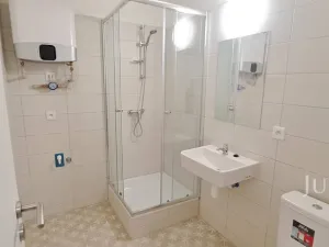 Pronájem bytu 1+kk, Čížová - Topělec, 25 m2