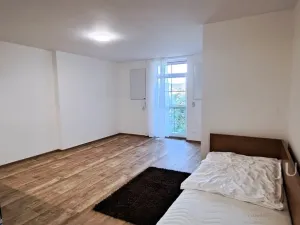 Pronájem bytu 1+kk, Čížová - Topělec, 25 m2