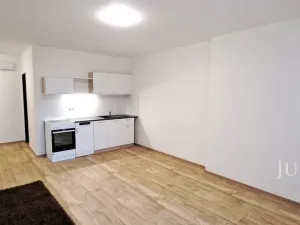 Pronájem bytu 1+kk, Čížová - Topělec, 25 m2
