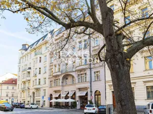 Prodej bytu 3+kk, Praha - Staré Město, Haštalská, 119 m2