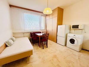 Pronájem bytu 1+1, Plzeň, Žlutická, 35 m2