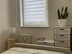 Prodej bytu 3+kk, Ostrava, Václava Košaře, 44 m2