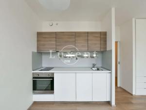 Pronájem bytu 1+kk, Praha - Vinohrady, Lucemburská, 30 m2