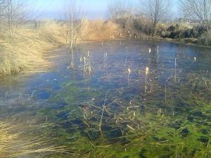 Prodej zahrady, Doubravčice, 7161 m2