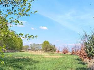 Prodej zahrady, Doubravčice, 7161 m2