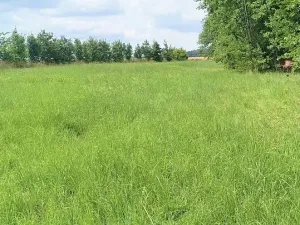 Prodej zahrady, Doubravčice, 7161 m2