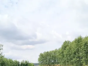 Prodej zahrady, Doubravčice, 7161 m2