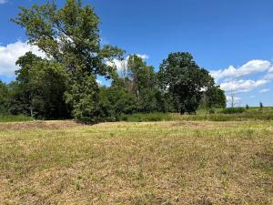 Prodej pozemku pro bydlení, Horní Planá, 1547 m2