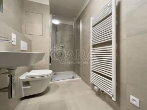 Pronájem bytu 1+kk, Brno - Horní Heršpice, Jižní, 34 m2