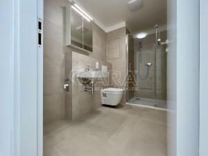 Pronájem bytu 1+kk, Brno - Horní Heršpice, Jižní, 34 m2