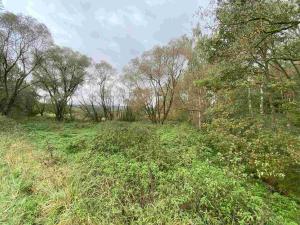 Prodej pozemku, Horní Dvořiště, 10042 m2