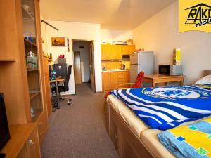 Pronájem bytu 1+kk, Trutnov, Maxima Gorkého, 30 m2