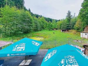 Prodej komerční nemovitosti, Valašské Klobouky, Brumovská, 467 m2