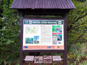 Prodej komerční nemovitosti, Valašské Klobouky, Brumovská, 467 m2