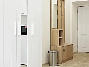 Pronájem bytu 1+kk, Brno, Koliště, 26 m2