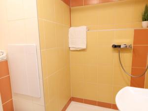 Pronájem bytu 1+1, Liberec - Liberec XII-Staré Pavlovice, Letná, 40 m2