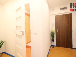 Pronájem bytu 1+1, Liberec - Liberec XII-Staré Pavlovice, Letná, 40 m2